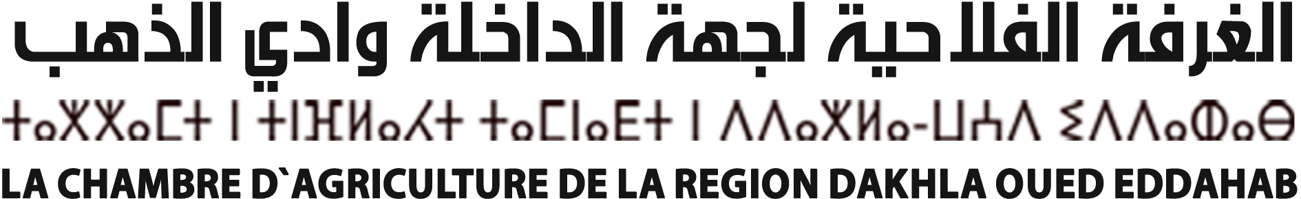الغرفة الفلاحية لجهة الداخلة وادي الذهب