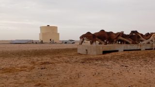 الغرفة الفلاحية بالداخلة-وادي الذهب تنجز مشروع تجهيز “بير المامي” بالطاقة الشمسية لدعم الكسابة مع اقتراب الصيف
