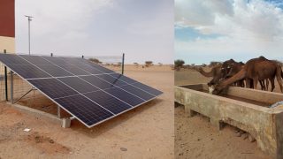 الغرفة الفلاحية بجهة الداخلة-وادي الذهب تُكمل تجهيز النقطة المائية “منحر نكجير” بالطاقة الشمسية دعماً للكسابة مع اقتراب فصل الصيف