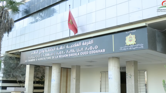 الغرفة الفلاحية لجهة الداخلة وادي الذهب تعلن عن مباراة للتوظيف في عدد من المناصب