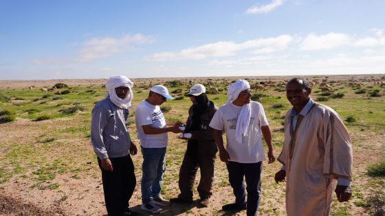 الغرفة الفلاحية لجهة الداخلة تنظم حملة تحسيسية للإسعافات الأولية البيطرية لحماية الثروة الحيوانية