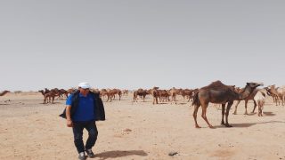 الغرفة الفلاحية لجهة الداخلة تنظم أياما تحسيسية حول الإسعافات الأولية للماشية بالمراعي الجهوية