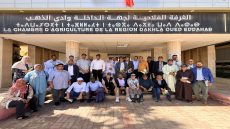 الغرفة الفلاحية لجهة الداخلة وادي الذهب تستقبل وفداً عن الغرفة الفلاحية لجهة سوس ماسة في إطار تبادل التجارب والخبرات